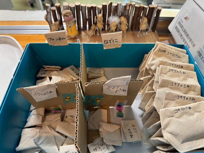 箱に入った花の種